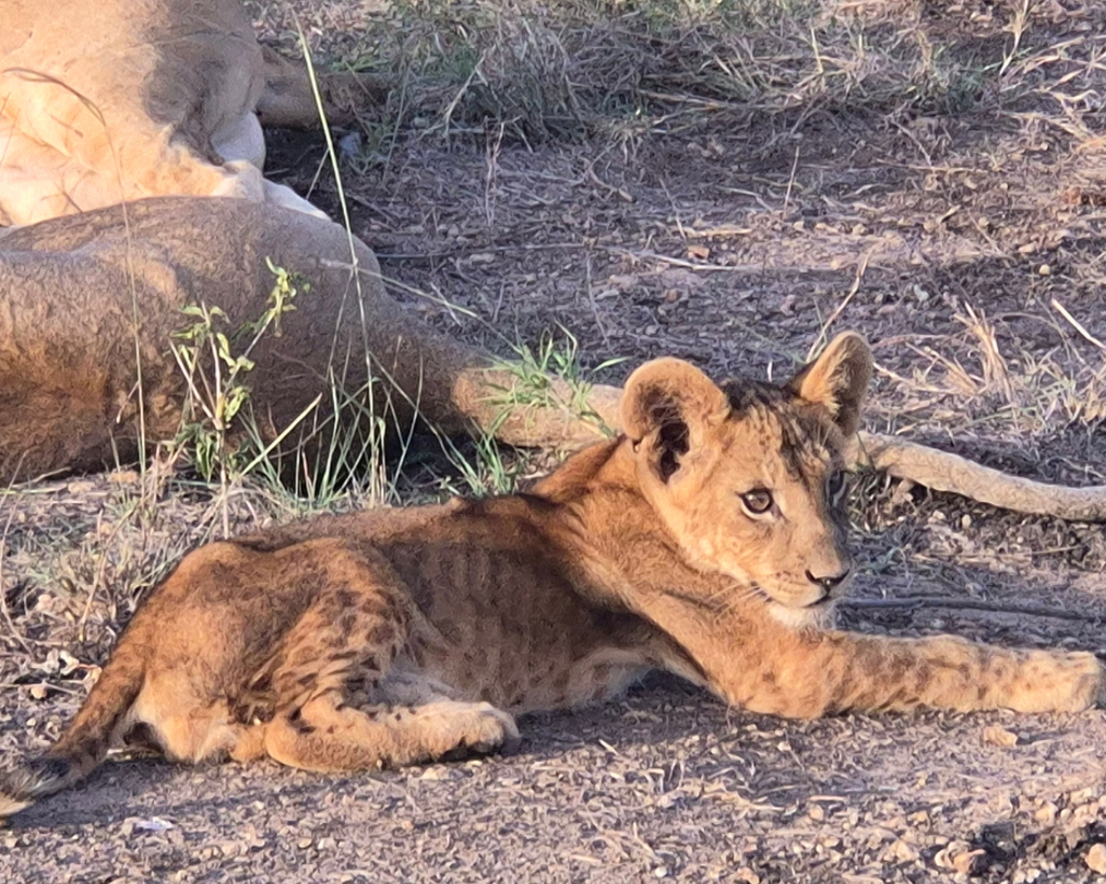 KENYA2